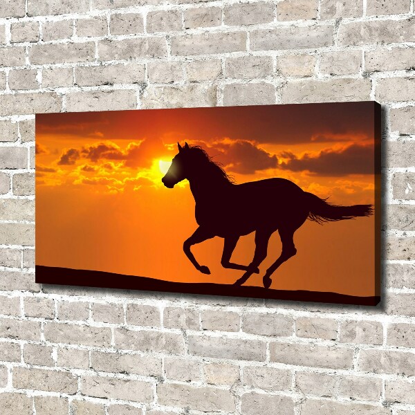 Quadro su tela Tramonto a cavallo