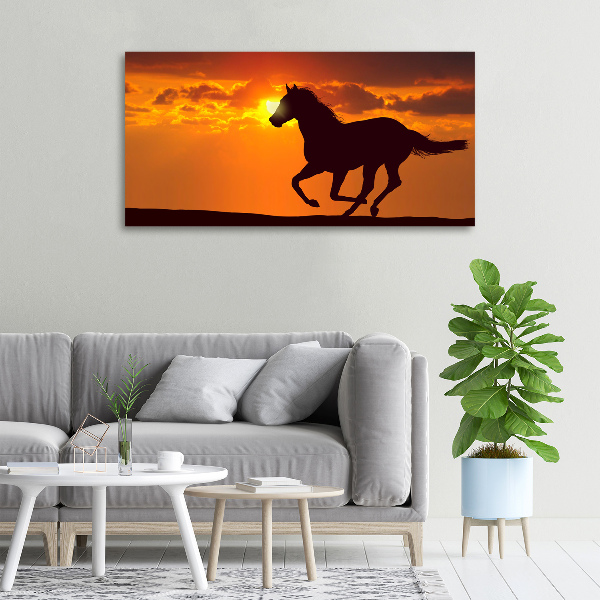 Quadro su tela Tramonto a cavallo