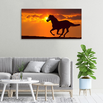 Quadro su tela Tramonto a cavallo