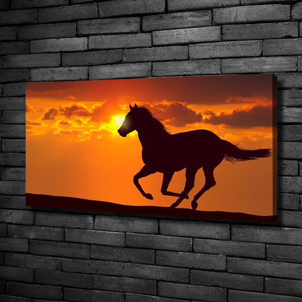 Quadro su tela Tramonto a cavallo