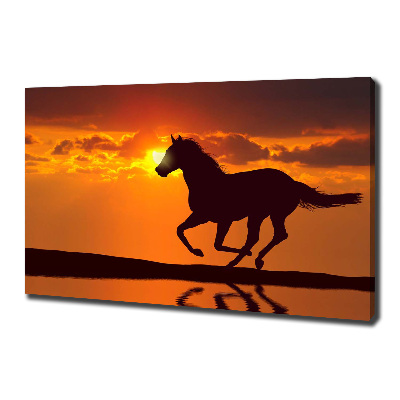 Quadro su tela Tramonto a cavallo