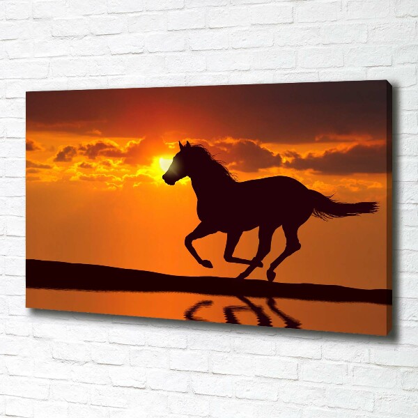 Quadro su tela Tramonto a cavallo