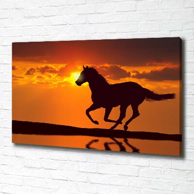 Quadro su tela Tramonto a cavallo
