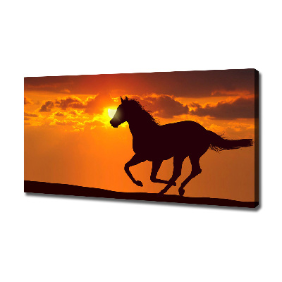 Quadro su tela Tramonto a cavallo