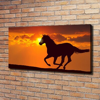 Quadro su tela Tramonto a cavallo