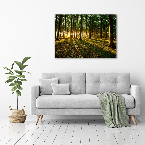 Quadro su tela Raggi di sole