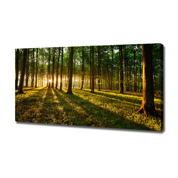 Quadro su tela Raggi di sole