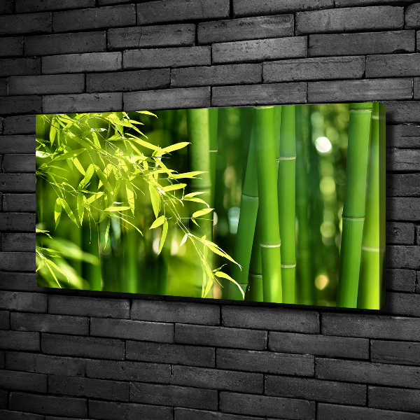 Quadro su tela Bambù