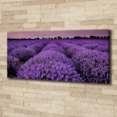 Quadro stampa su tela Campo di lavanda
