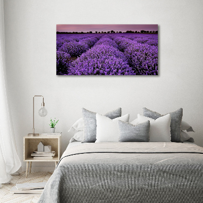 Quadro stampa su tela Campo di lavanda