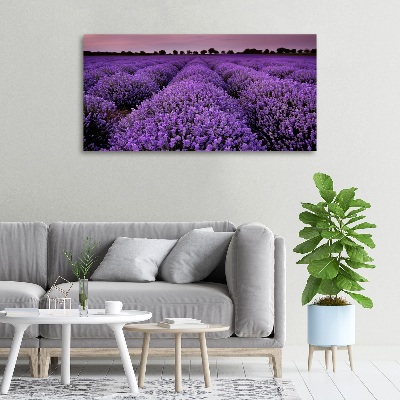 Quadro stampa su tela Campo di lavanda