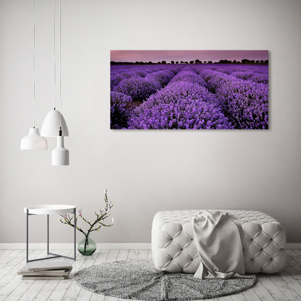 Quadro stampa su tela Campo di lavanda
