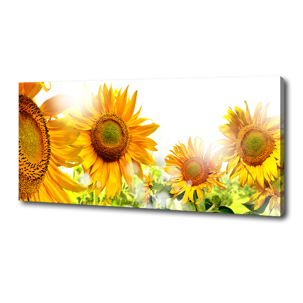 Quadro su tela Girasoli