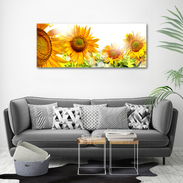 Quadro su tela Girasoli