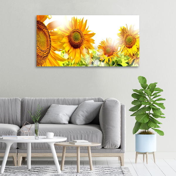 Quadro su tela Girasoli