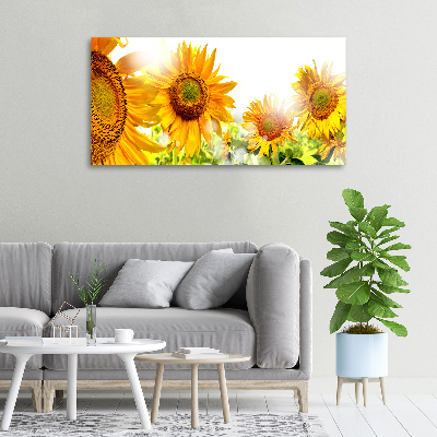 Quadro su tela Girasoli