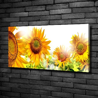 Quadro su tela Girasoli