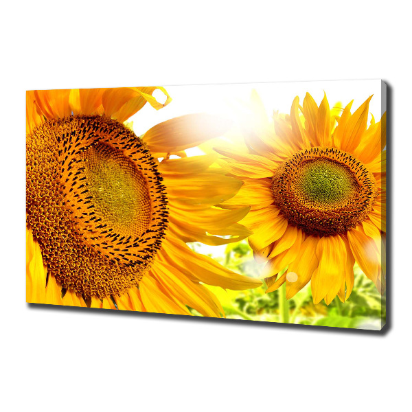 Quadro su tela Girasoli