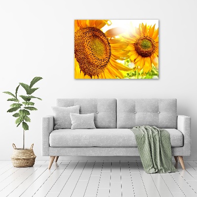 Quadro su tela Girasoli