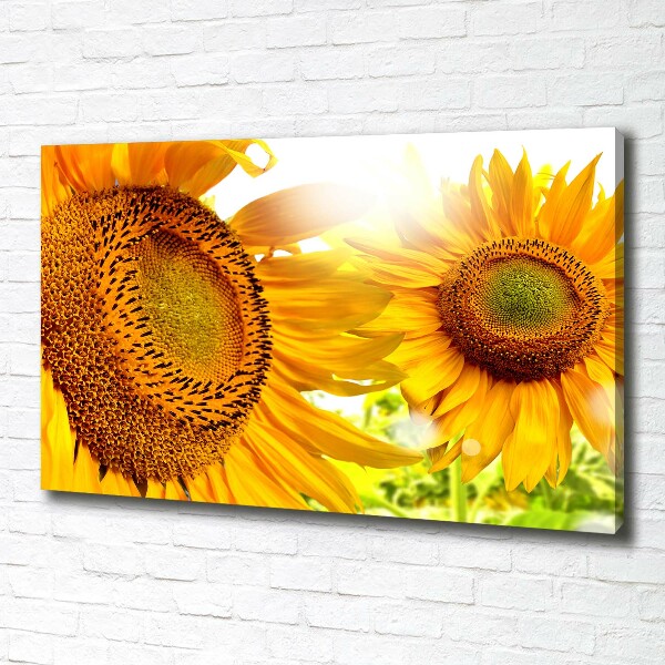Quadro su tela Girasoli