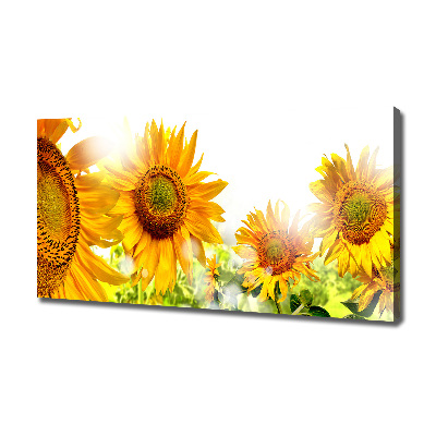 Quadro su tela Girasoli