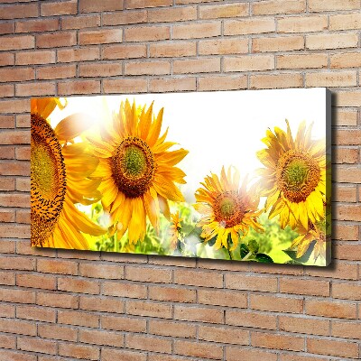 Quadro su tela Girasoli
