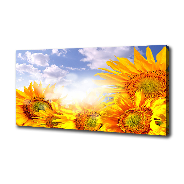 Quadro stampa su tela Girasoli