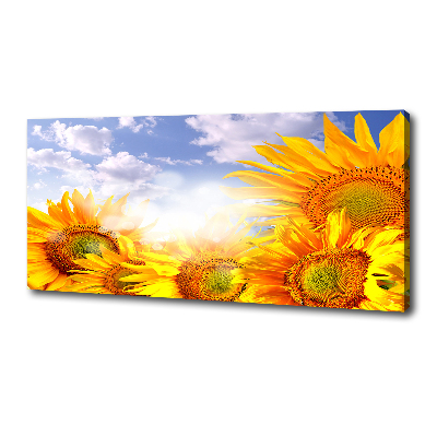 Quadro stampa su tela Girasoli