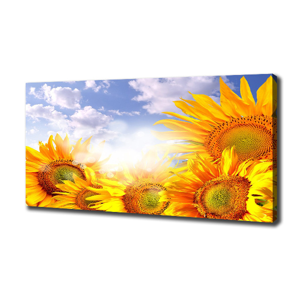 Quadro stampa su tela Girasoli