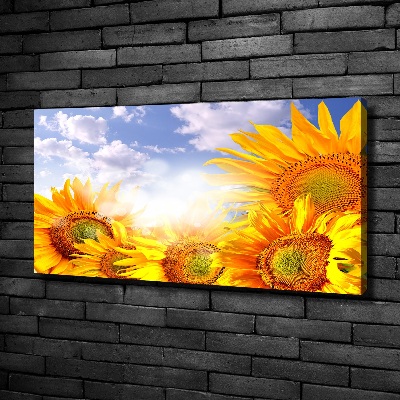 Quadro stampa su tela Girasoli