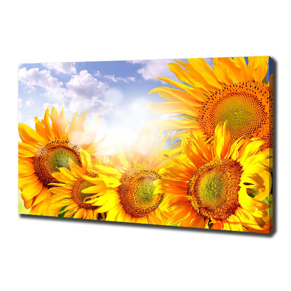 Quadro stampa su tela Girasoli