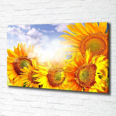 Quadro stampa su tela Girasoli