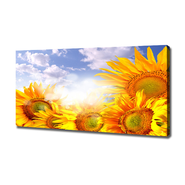 Quadro stampa su tela Girasoli