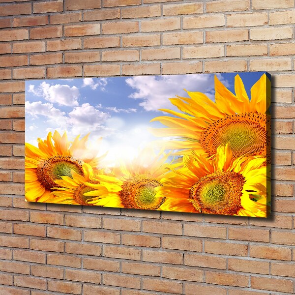 Quadro stampa su tela Girasoli