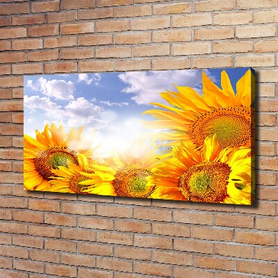 Quadro stampa su tela Girasoli