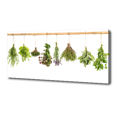 Foto quadro su tela Erbe aromatiche su un filo