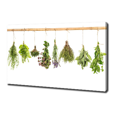 Foto quadro su tela Erbe aromatiche su un filo