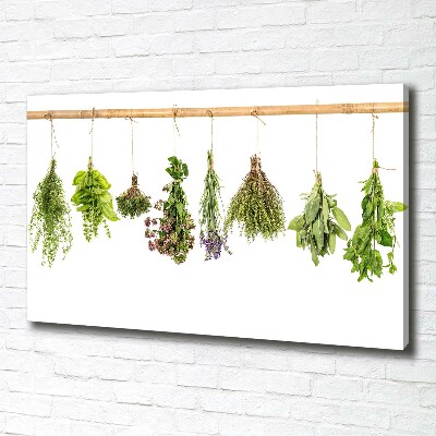 Foto quadro su tela Erbe aromatiche su un filo