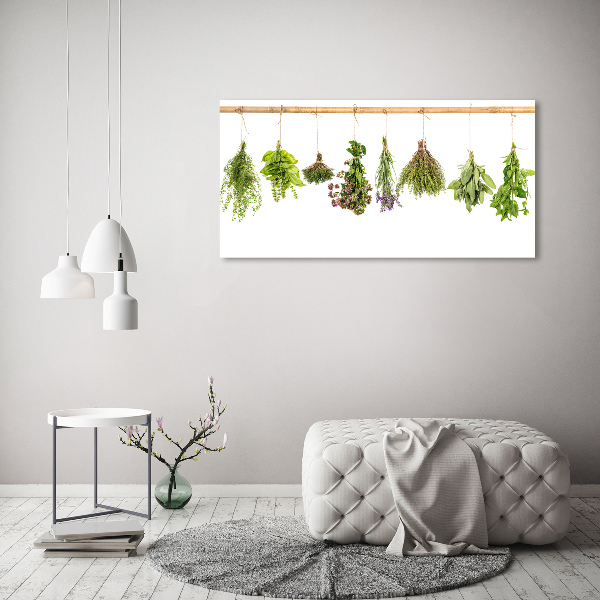 Foto quadro su tela Erbe aromatiche su un filo