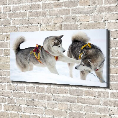 Quadro stampa su tela Husky in inverno
