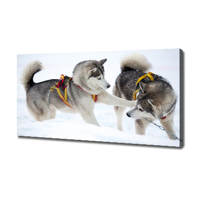 Quadro stampa su tela Husky in inverno