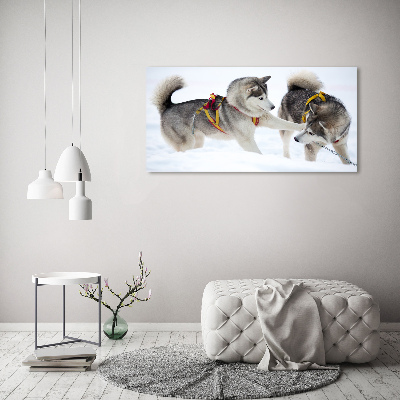 Quadro stampa su tela Husky in inverno
