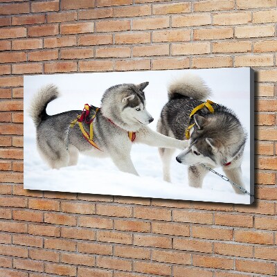 Quadro stampa su tela Husky in inverno