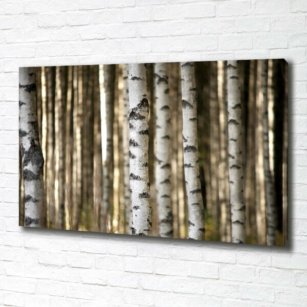 Quadro su tela Betulle