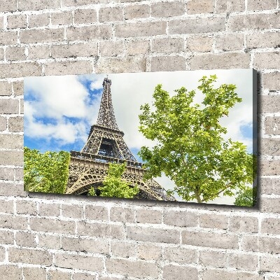 Quadro su tela Torre Eiffel Parigi