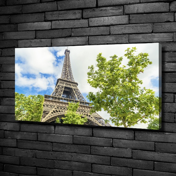 Quadro su tela Torre Eiffel Parigi
