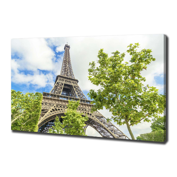 Quadro su tela Torre Eiffel Parigi
