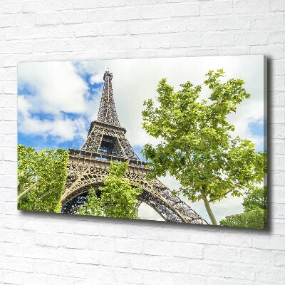 Quadro su tela Torre Eiffel Parigi