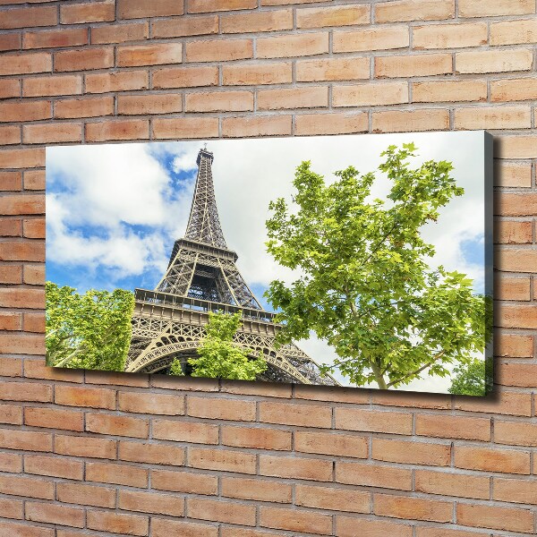 Quadro su tela Torre Eiffel Parigi