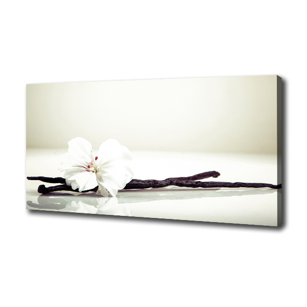 Foto quadro su tela Baccello di vaniglia